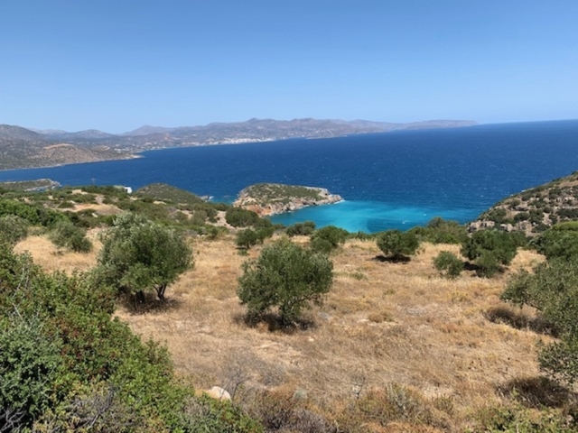 Land plot of 4.100 m2 for sale in Kalo Chorio 