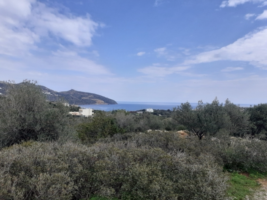 Plot of 2.500m2 for sale in Agios Nikolaos 