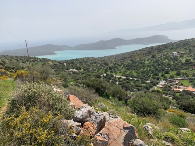 Land plot available for sale in the area of Pines near Elounda 