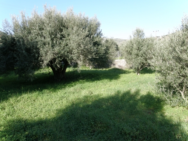 Crete 852.5m2 building plot close to Elounda for sale 