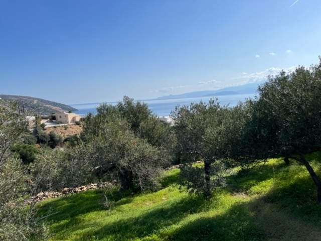 Land plot for sale in the area Katsikia of Aghios Nikolaos 