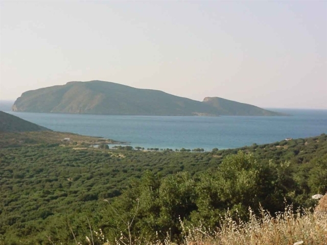 Land  plot for sale in Tholos - Kavousiou 