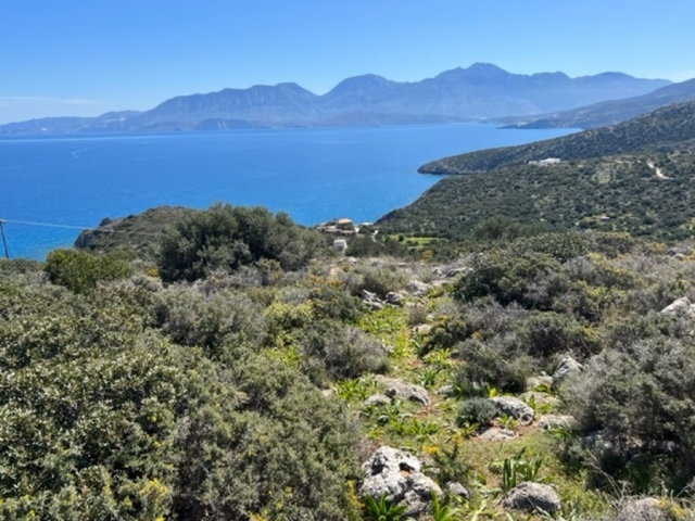 Building land of 4.500m2 for sale close to Aghios Nikolaos 