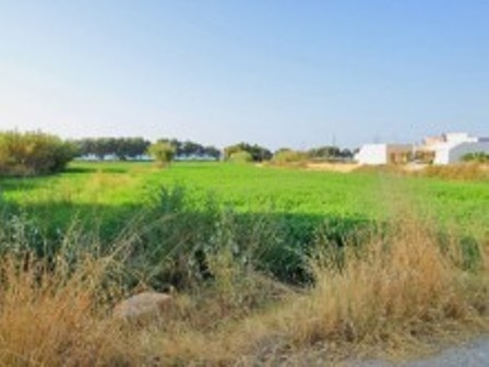 Building land in quiet area in Crete for sale 