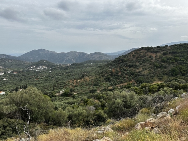 Land plot available for sale in the area of Laconia, Agios Nikolaos 