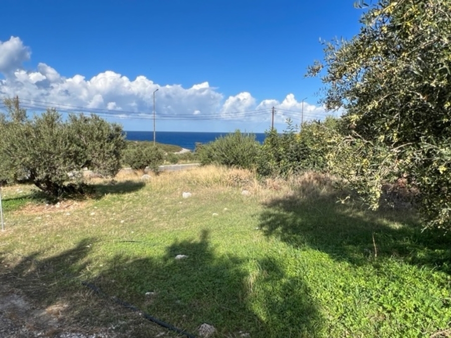 Plot of 1273m2 in Kalo Chorio - Lassithiou  for sale 