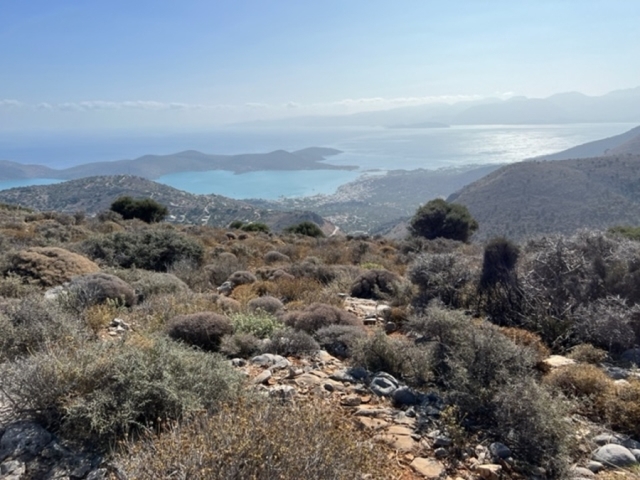 Land plot  with countryside view in Pines - Elounda 