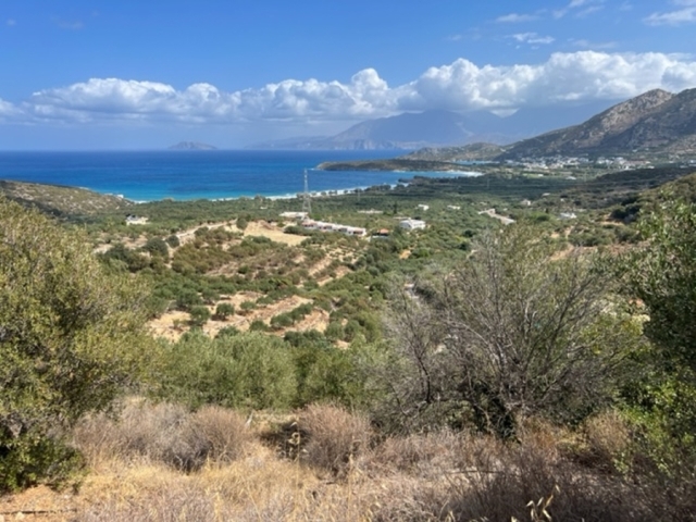 Agricultural land  for sale in Kalo Horio 