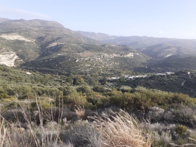 Plot of 7.500 in Agios Antonios Sitias 