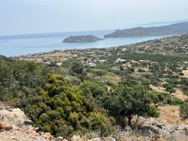 Buildable land of 10.000m2  for sale in Plaka of Elounda  