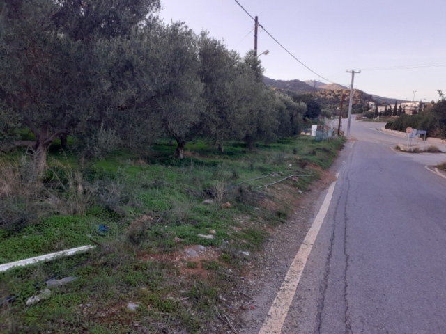 Land plot of 2.466m2 for sale in Lakonia - Lasithiou 