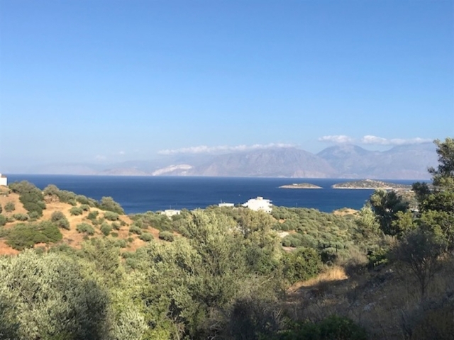 Land plot of 3.500m2 for sale close to the town of Aghios Nikolaos 