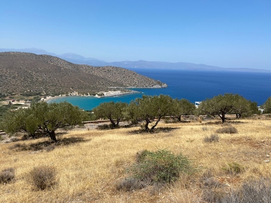 Buildable land of 9.952 m2 for sale in Tholos 