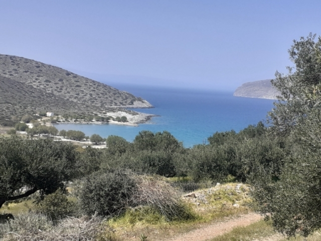 Land plot for sale in Tholos with sea view 