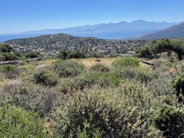 Building plot of 2.400m2 for sale near Elounda 