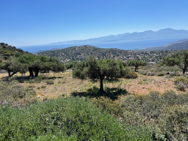 Building plot of 3.500m2 for sale in the area of Elounda 