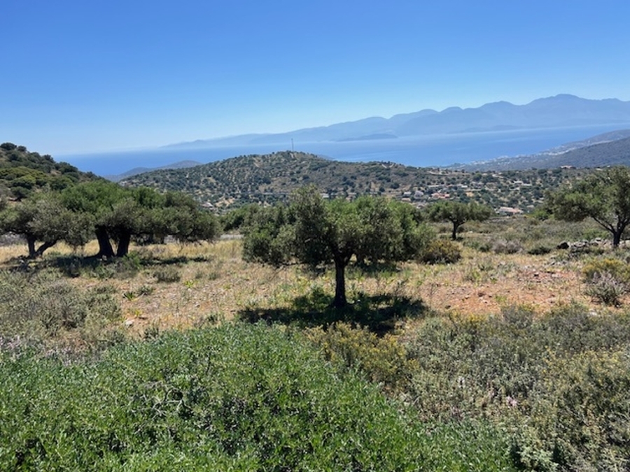 Building plot of 2.883 m2 for sale in the area of Elounda 
