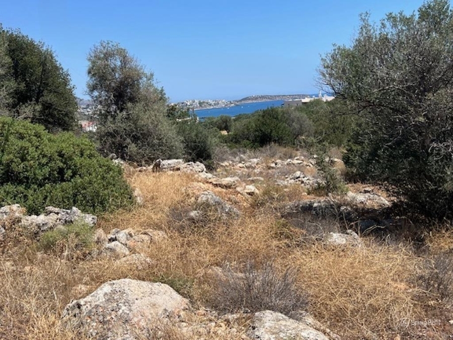 Οικοδομήσιμη έκταση προς πώληση  στην Αμουδάρα, Λασιθίου 