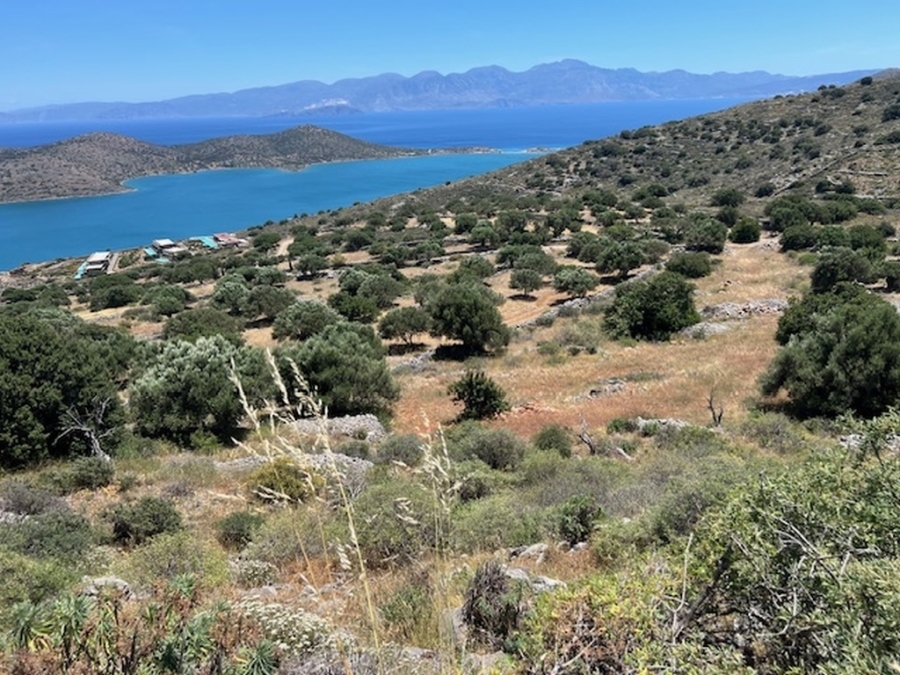 Oικοδομήσιμη έκταση σε υπέροχη τοποθέσια προς πώληση στην Ελούντα 