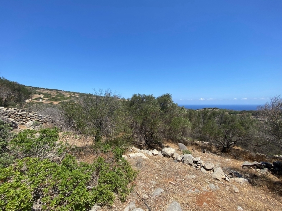 Land plot of 3.060m2 for sale in Vrouhas, near Agios Nikolaos 