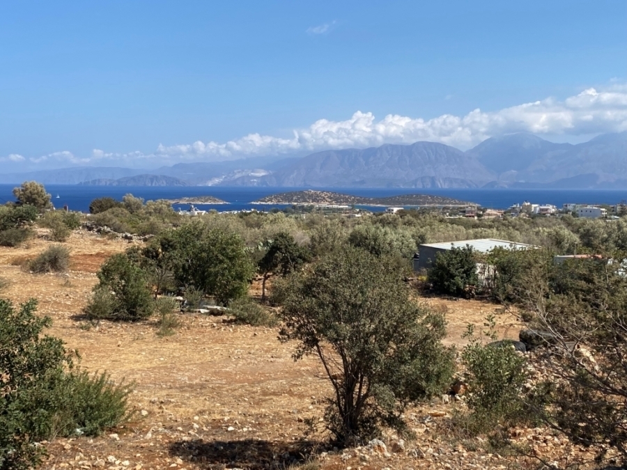 Oικοδομήσιμη έκταση 6.500τ.μ προς πώληση με θέα στην θάλασσα 