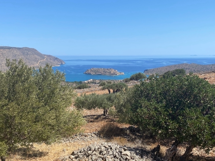 Οικοδομήσιμη έκταση με πανοραμική θέα κοντά στην Ελούντα 