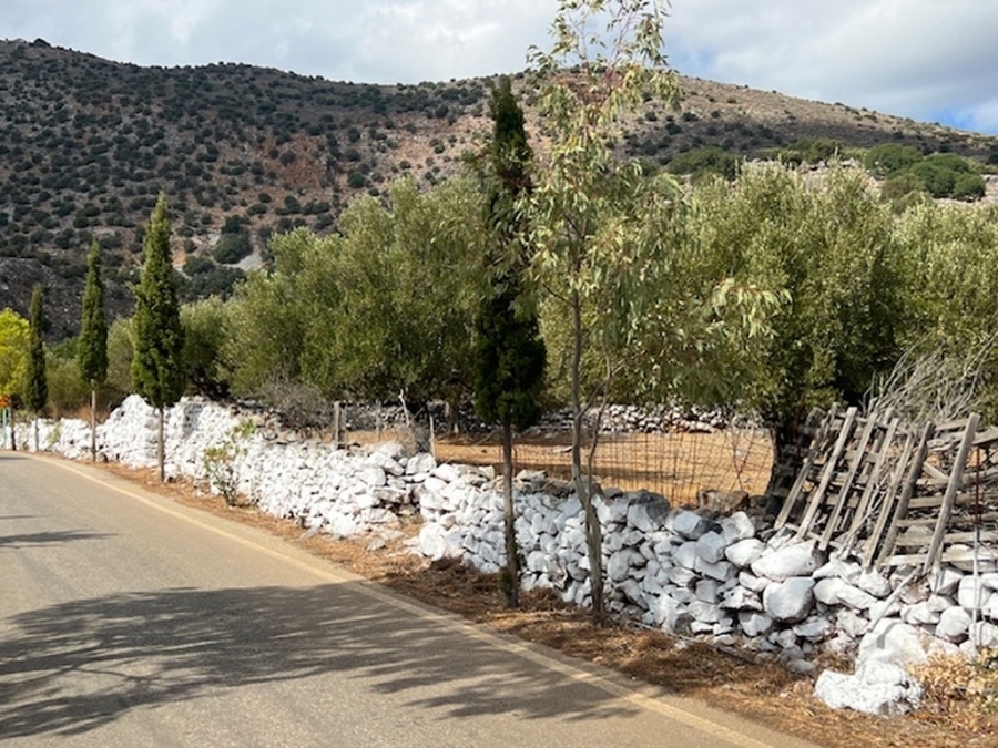 Plot for sale close to Elounda with countryside view 
