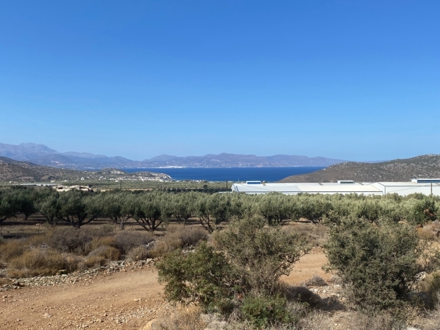 Land plot close to Pahia Ammos with sea view for sale 