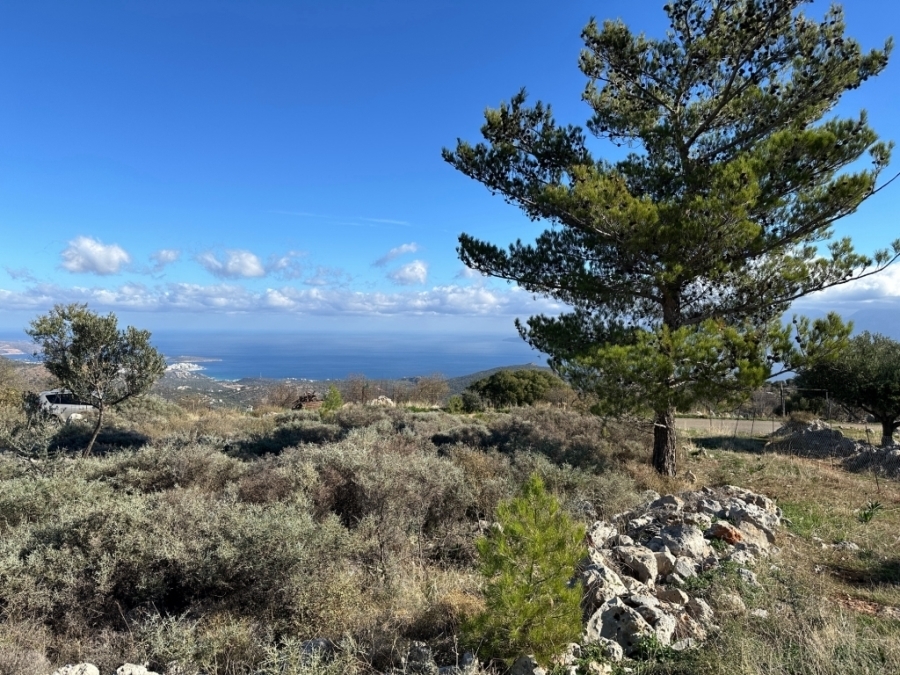 Plot of  830,25 m2 with building permit for sale  in Kroustas 