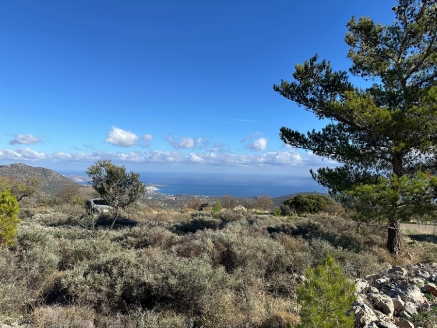 Plot  of 564.95 m²  with building permit for sale in the village Kroustas 