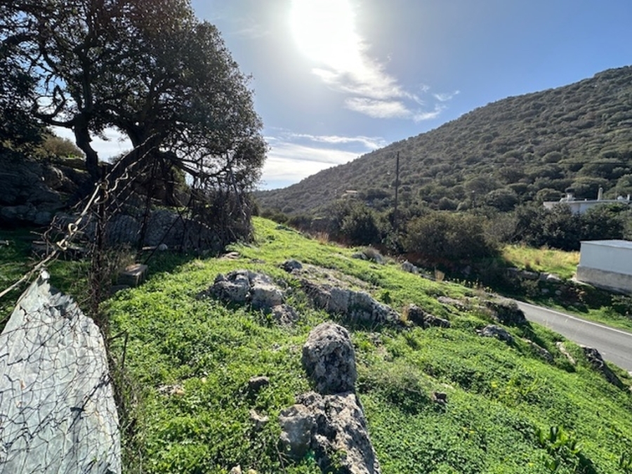 Land plot with countryside view for sale in Lakonia 