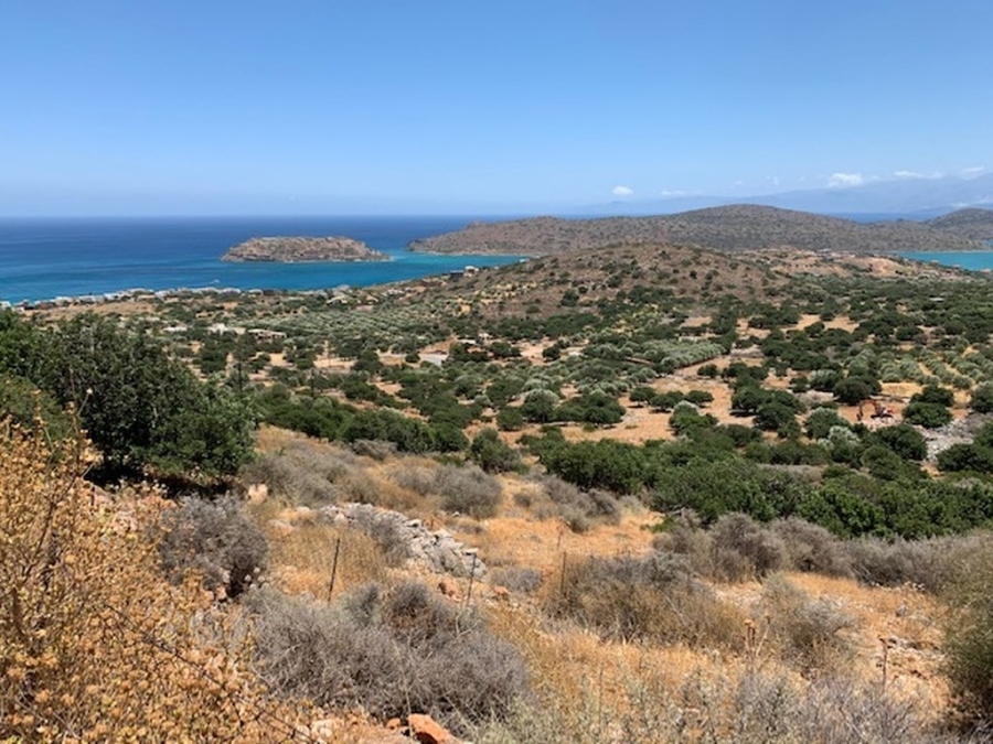 Buildable land of 8.000m2 for sale with views to Elounda Bay 