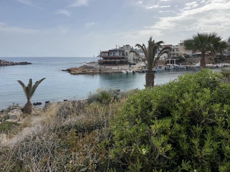 Prime seaside building plot just 50m from the sea for sale 