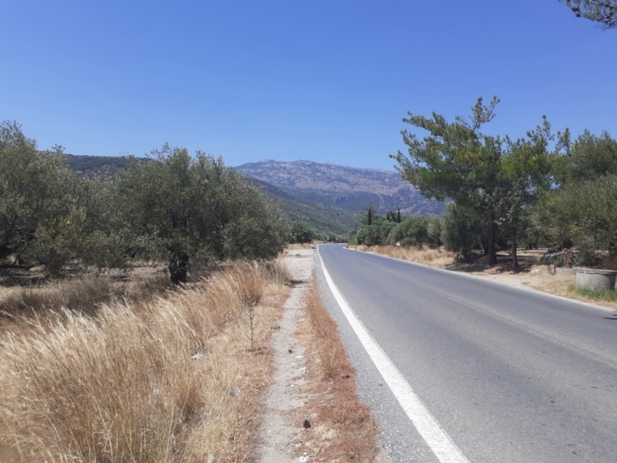 Plot of 1205m2 for sale close to the area Mardati in Kritsa 