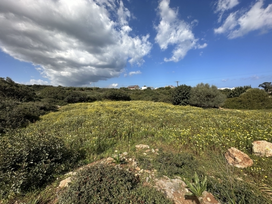 Land plot is available for sale in Sisi 