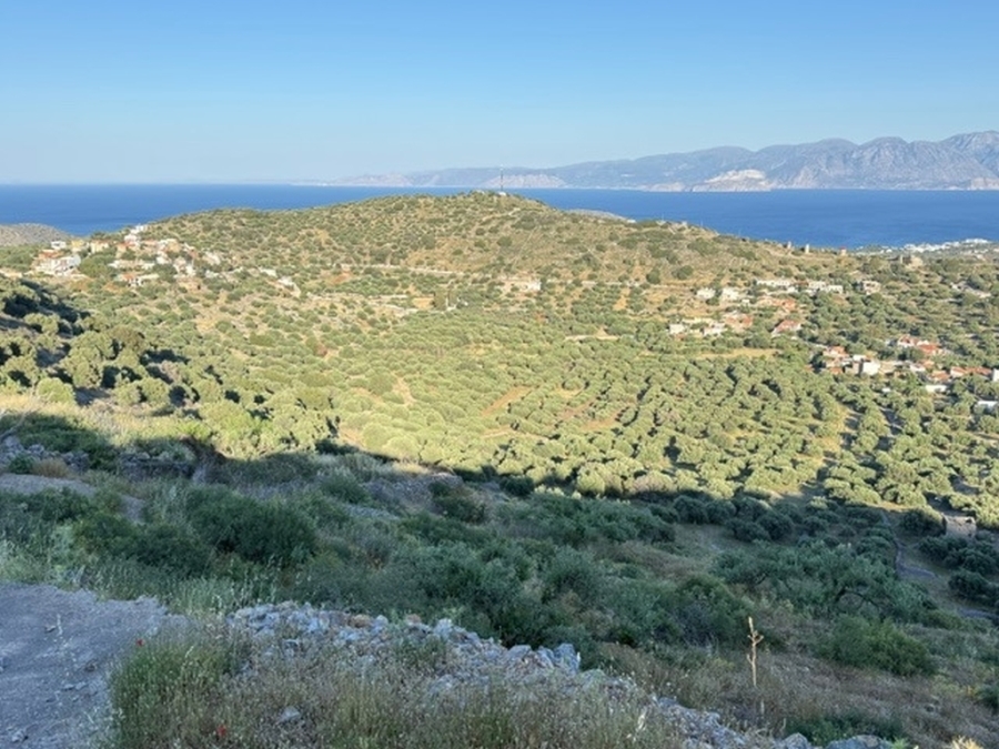 Plot of 2.500m2 for sale in the area Pines of Elounda 
