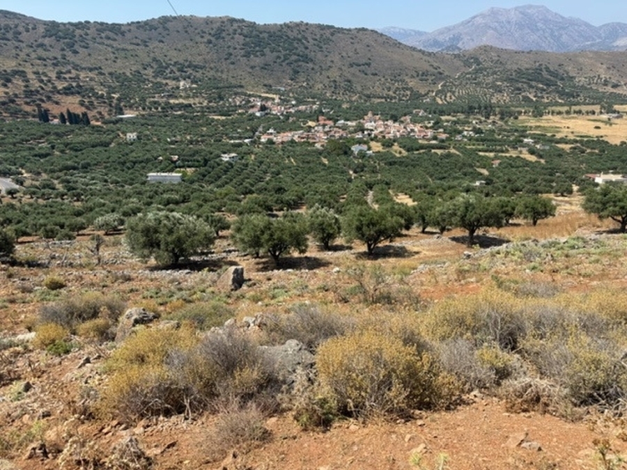 A 1.780 m² plot for sale in Fourni, Lasithi 