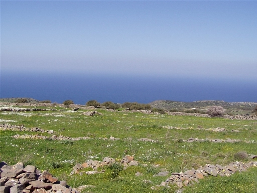 Buildable land for sale with sea views in Loumas 