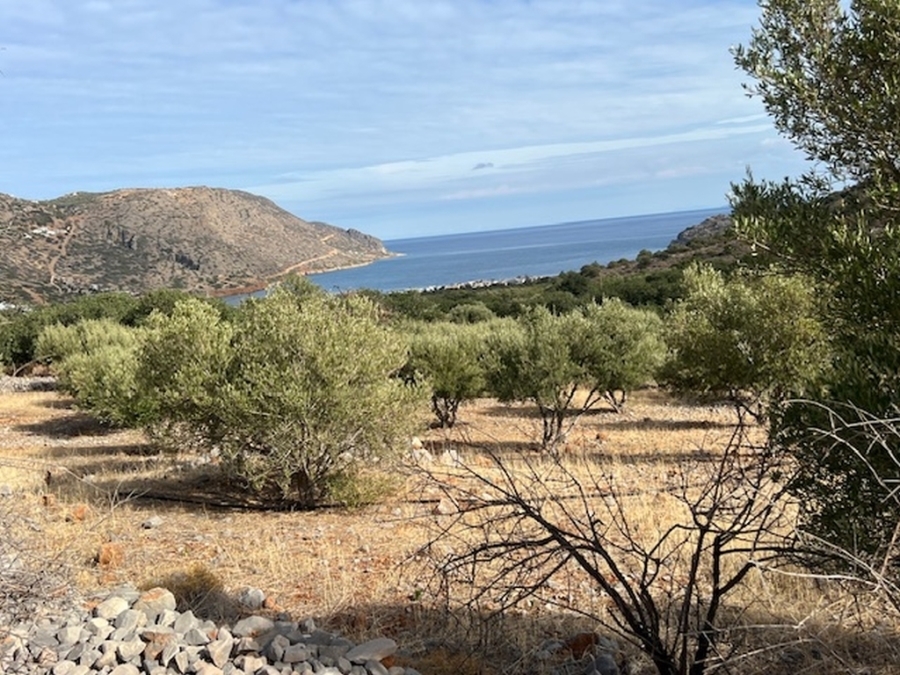 Building land of 13.000 m2 for sale  in Plaka,Elounda 