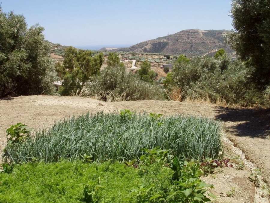 Building plot of 555m2 for sale in Makrylia, Lasithi 