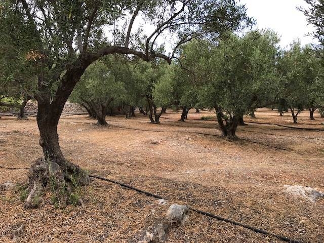 Plot of 1.050m2 is for sale in Milatos 