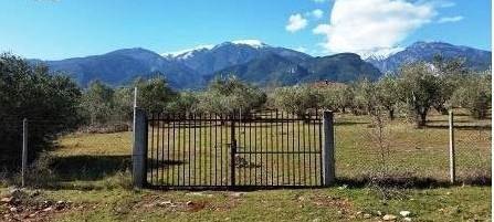 Building plot of 4.700m2 is for sale with views to the Olympos 