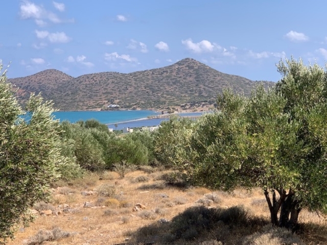 Building land plot of 6.000m2 for sale in Pyrgos, Elounda 