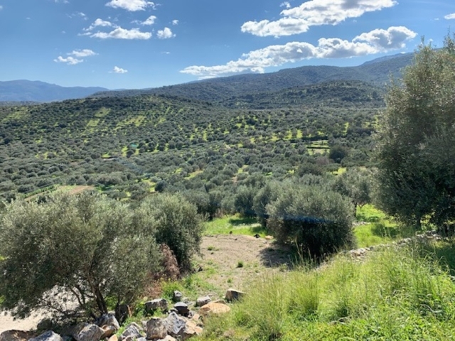 Plot for sale in Mardati with  views of the countryside 