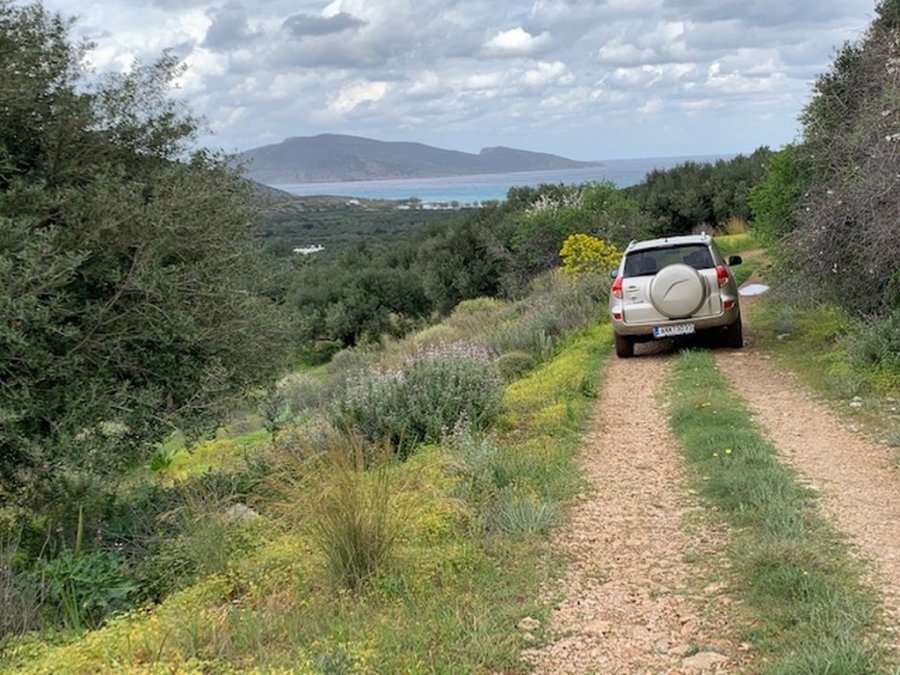 Buildable land of 8.967m2 for sale in Tholos of kavousi 