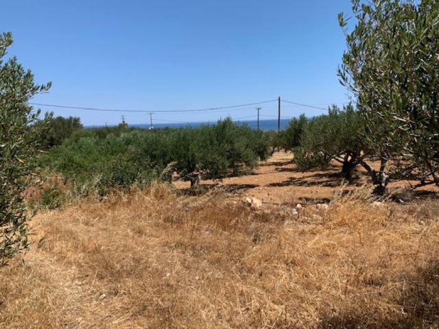Buildable plot of 2.500m2 for sale close to Sitia 