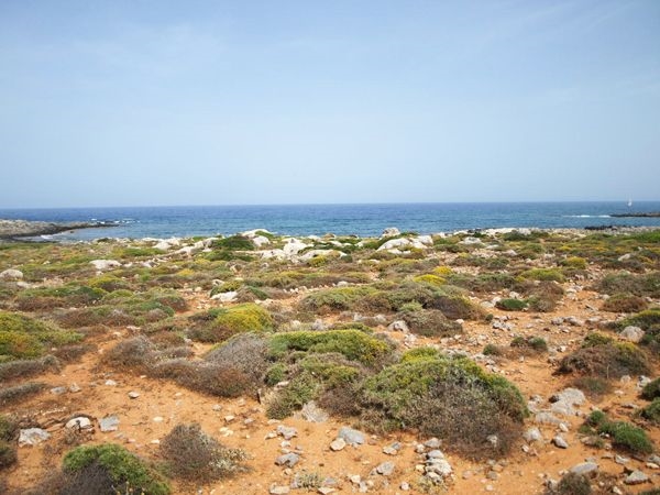 Seafront plot of 19.400m2 for sale in Chania 