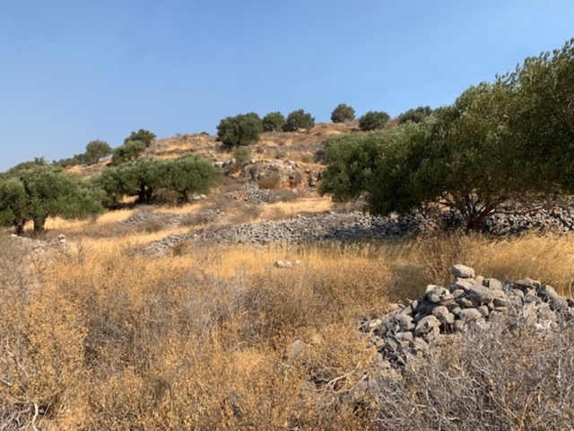 Plot of 2.650m2 for sale close to Elounda 