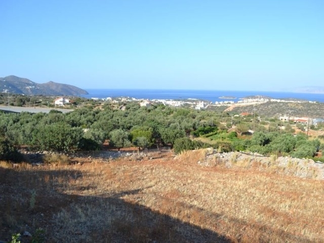 Building plot of 8.000m2 for sale in the area of Alevriko, Aghios Nikolaos 