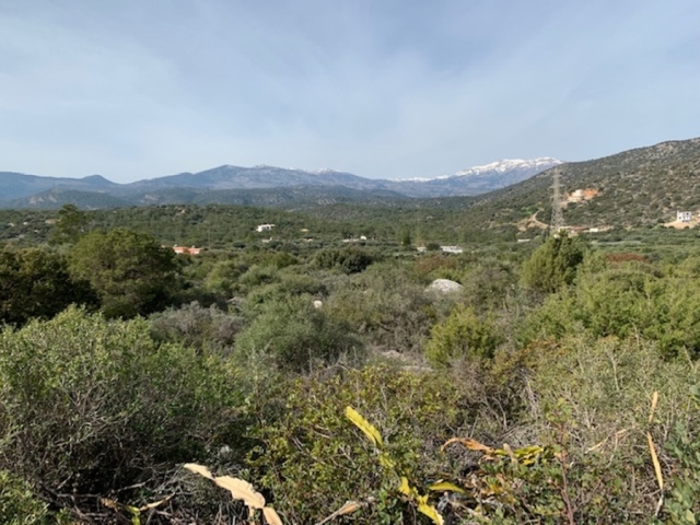 Buildable land for sale in Vathi of Aghios Nikolaos  
